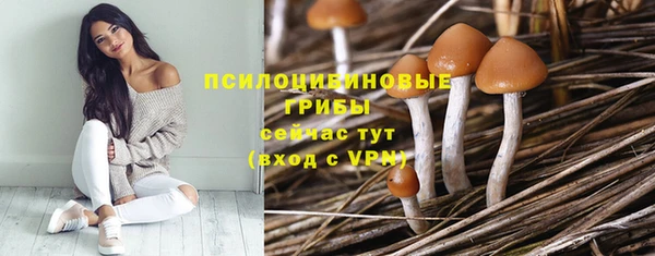 ALPHA-PVP Богданович