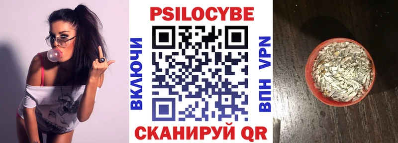 купить   Короча  Галлюциногенные грибы Cubensis 